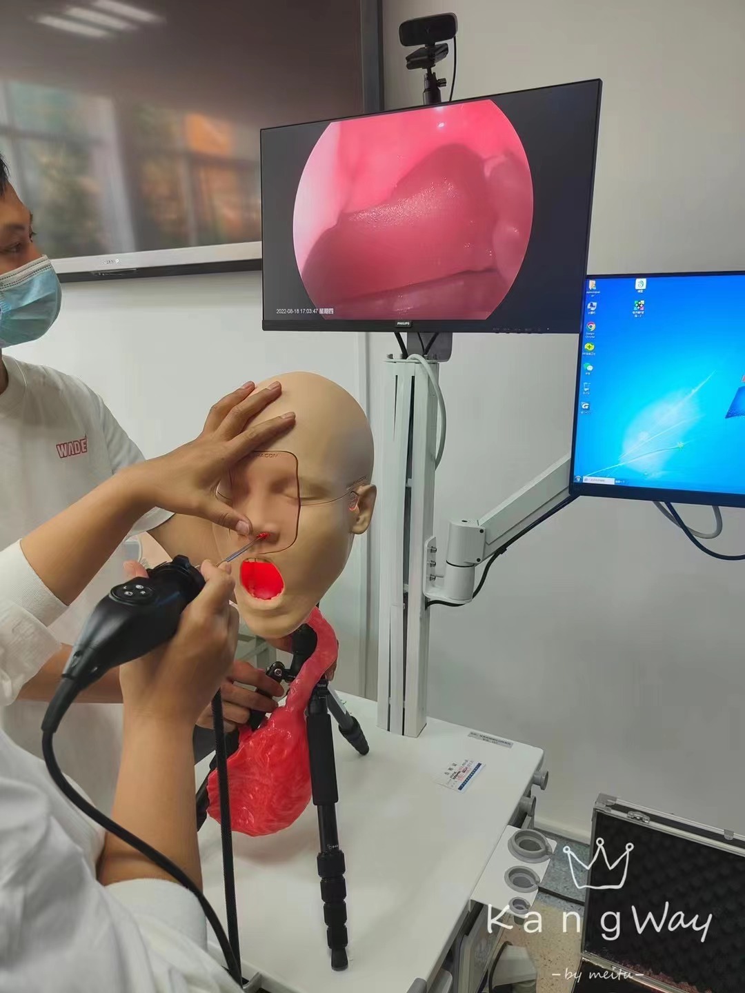 鼻咽喉镜模拟训练系统