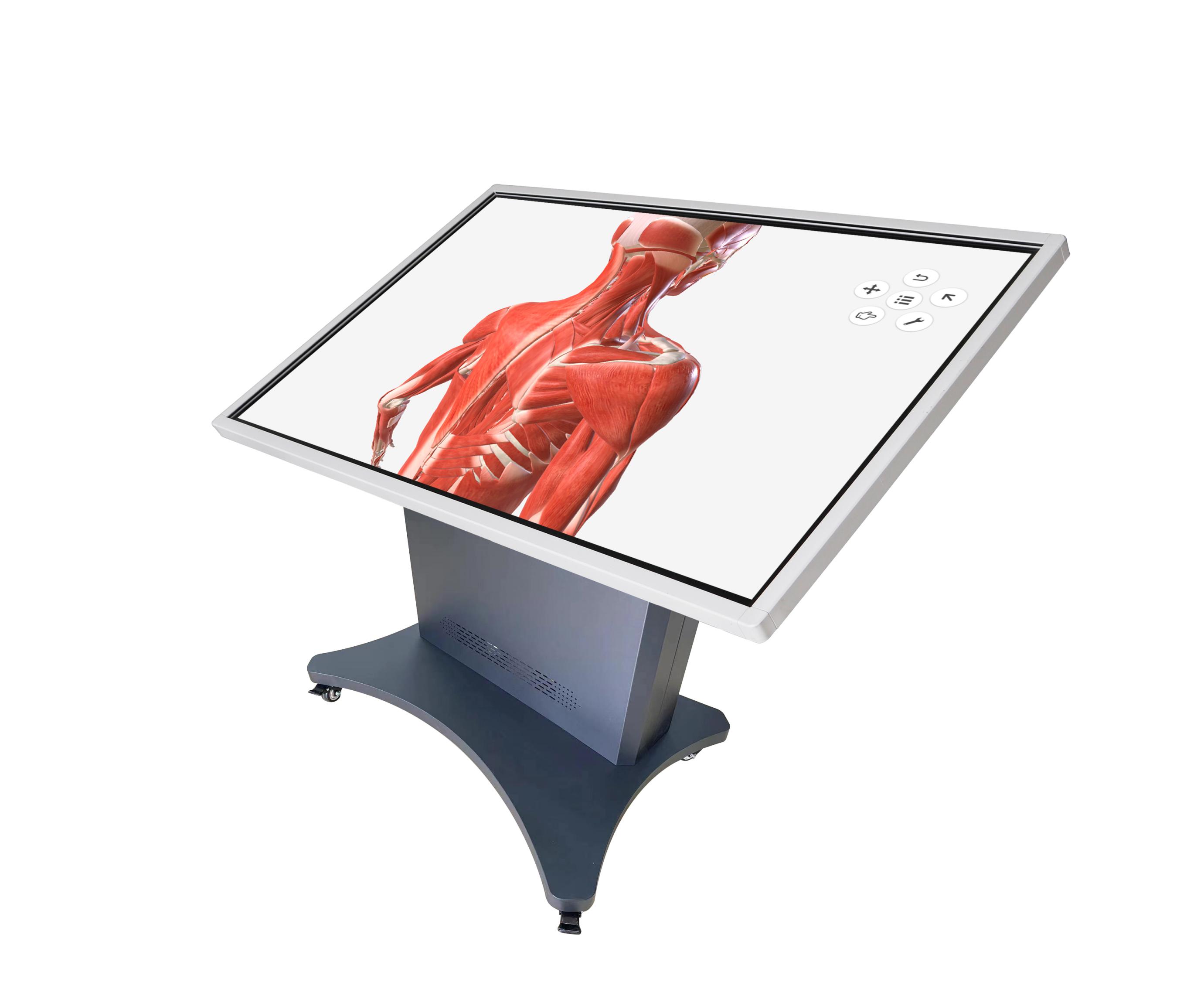 宿州多点触控解剖与手术规划训练系统，多点触控虚拟解剖训练系统