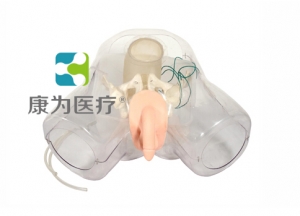 芜湖“康为医疗”男性泌尿电切模型