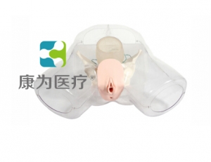 芜湖“康为医疗”女性宫腔电切模型