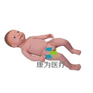 “康为医疗”高级足月胎儿模型（男婴、女婴任选）