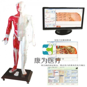 “康为医疗”光电感应多媒体人体针灸穴位发光模型