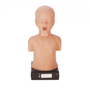 德国3B Scientific®儿童心肺听音培训装置