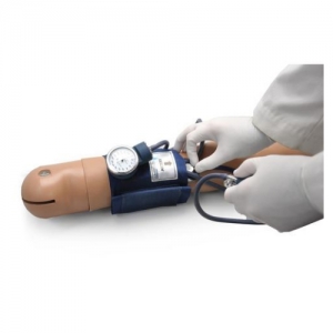 德国3B Scientific®血压训练系统，带Omni装置