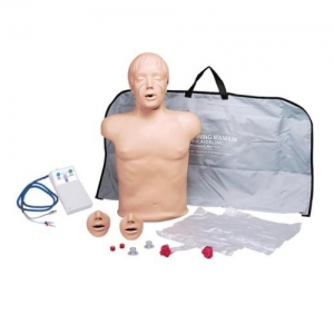 德国3B Scientific®Brad™ 紧凑型心肺复苏训练人体模型，带电子显示装置