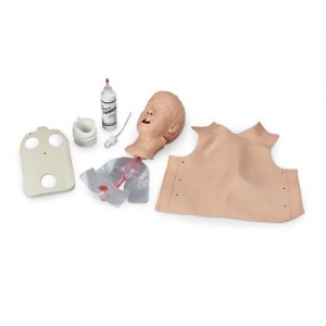 德国3B Scientific®儿童气道管理训练装置头部模型，带肺部和胃部