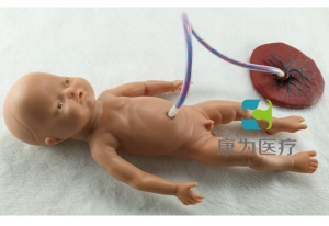 常德高级新生儿脐带护理模型,脐带护理模拟人