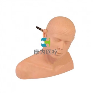 安庆耳诊断模型