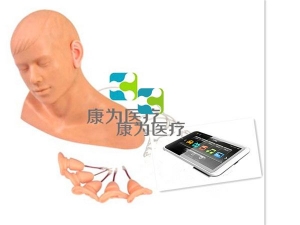 安庆交互式耳部检查操作模型,电子耳内检查训练模型