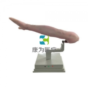 合肥针灸手臂考试系统