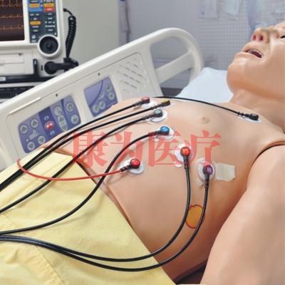 心电图诊断治疗模拟人 Cardio HAL®