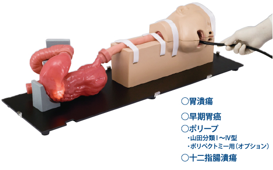 日本进口胃镜手术训练模拟器